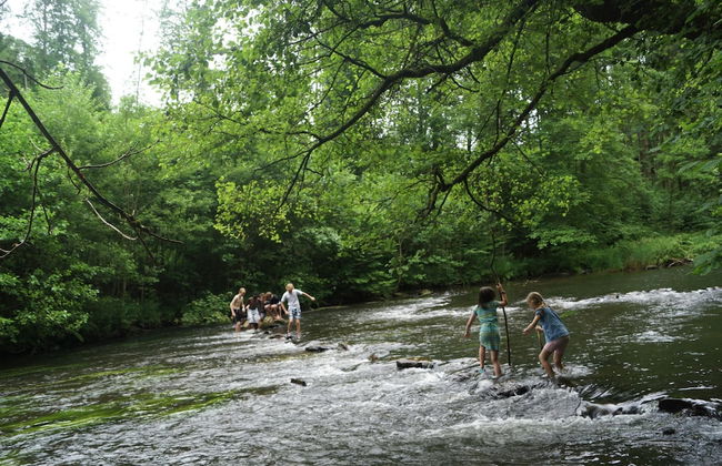 Mountain Retreat for Group - Photo 35