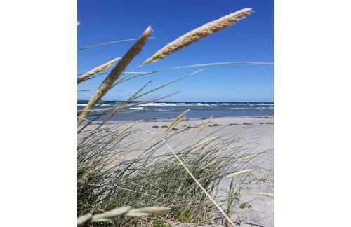 Holiday apartment 2 in the Maaßen country house - Foto 24