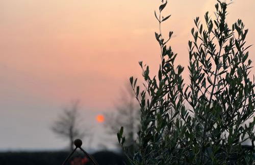 Bluebell Farm - Foto 6