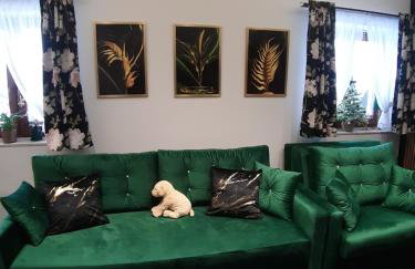 Apartament Górski Potok Murzasichle Apartamenty Murzasichle PL - Foto 37