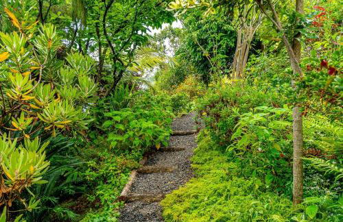 Casa do Jardim Botanico - Foto 54