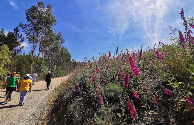 400 Year old 3-bedroom Farmhouse Central Portugal - Foto 10