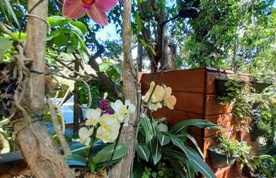 Stúdio Natureza S/A 1 - Photo 10