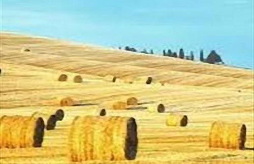 La Villetta In Montagna - Foto 37