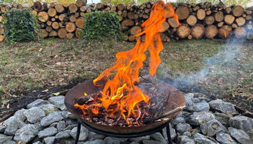 Scheunenwohnung in der Natur - Foto 4, Garden