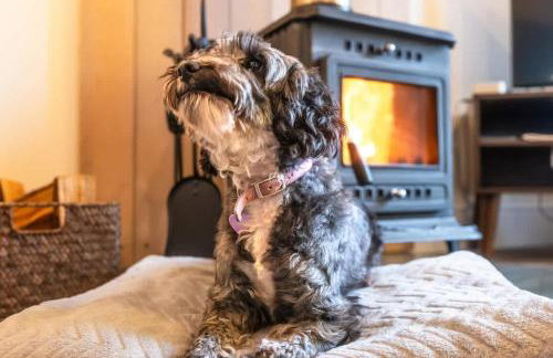 Sunny Side - in the Heart of Beer - Foto 13