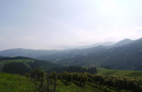 Agroturismo Erlete Goikoa -ESTAMOS EN EL CAMINO DE SANTIAGO -WE ARE ON THE CAMINO DE SANTIAGO- SENDERISMO-RUTAS Y BICICLETA - Photo 78