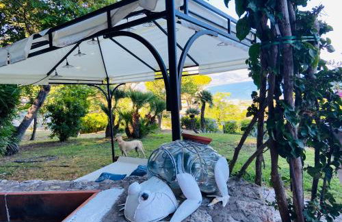 Ippocampo Blanc - Foto 18