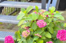 SUITE&ENJOY Hamburg - Foto 36