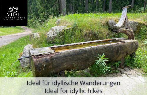 Appartement zur Birke - Foto 71