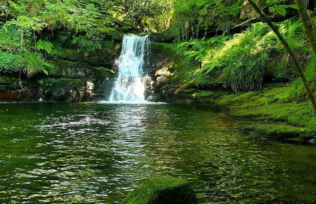 Molino de Yera - Foto 19