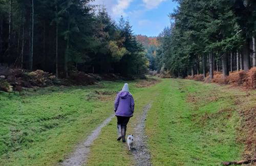 Delightful Country Cottage in a lovely rural area - Foto 33