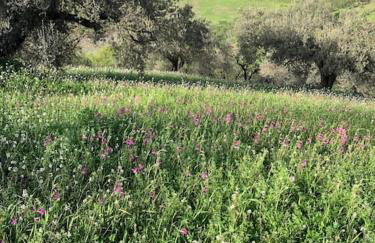 Paraiso Baja - Foto 27