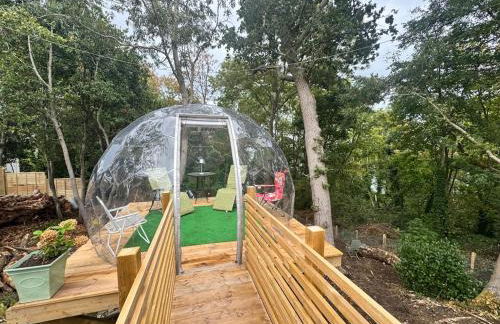 Tranquil Seabreeze - Photo 38