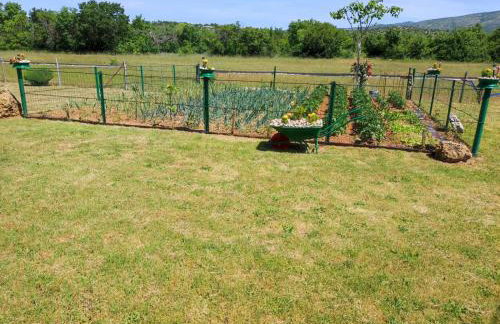 Nikini dvori - Foto 18