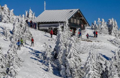 Waldliebe Spiegelhütte - Ferienwohnung am Bach - Foto 16