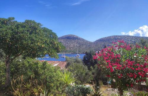 Apartments Vesna - Foto 1