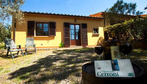 Appartamento bilocale I Cerroni Montescudaio - Foto 5, Garden view