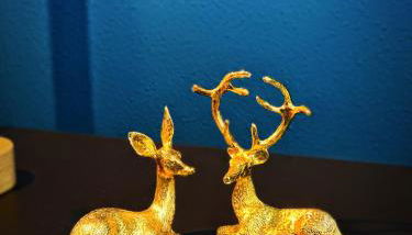 Piccoli Sogni - Foto 4