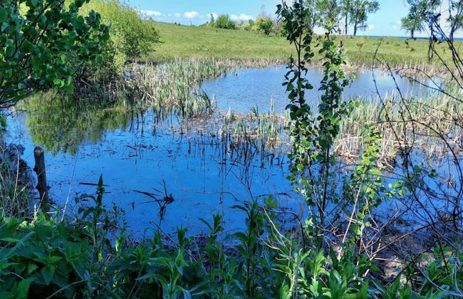 6 Person Holiday Home in Martofte - Foto 38