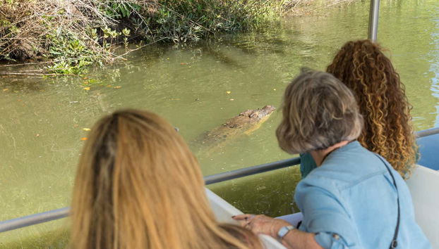 Excursión a Daintree, Mossman Gorge y Cape Tribulation - Foto 4