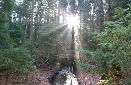 Adelheid Winkelmann - Photo 9