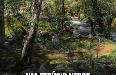 Dona Irene AL - Foto 69