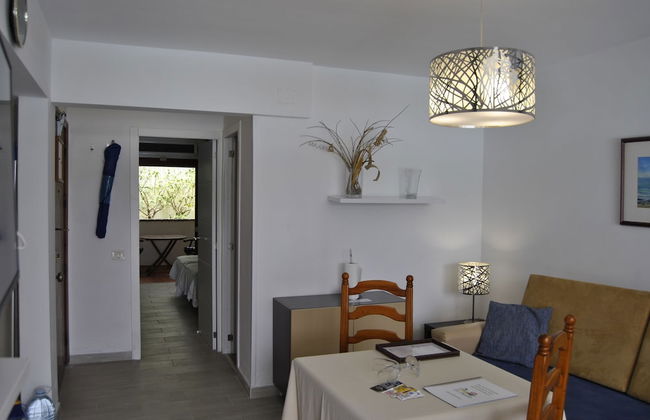 Apartamentos El Paseo - Foto 77