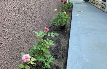 casa em Barra de Cunhaú-RN - Foto 10