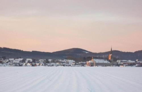 Ferienwohnung Oberschledorner Wald - Foto 18