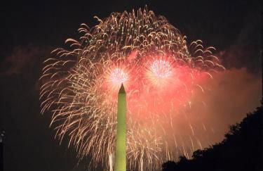 Beautiful Basement Suite & Outdoor Oasis - Photo 24
