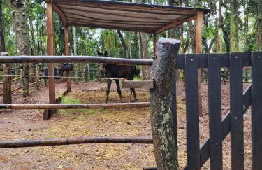 Exclusivo Haras Marilu! - Foto 49