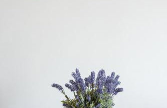 Apartment Away - Photo 11