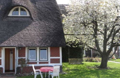 Ferienwohnungen von Schassen - Photo 21