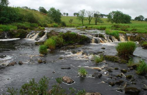 Swiss Cottage - Foto 10