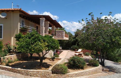 Villa Vena - Foto 43