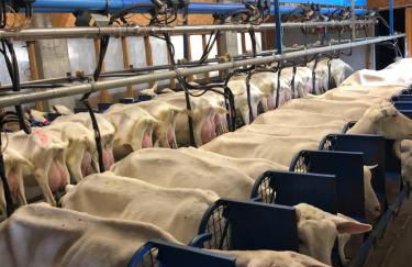 Duplex 6 à 8 couchages calme avec solarium plein Sud - Foto 56