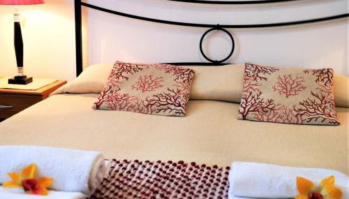 Vivi la versilia e le 5 terre - Foto 3