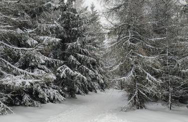 Sowiogórska Ostoja - Foto 33