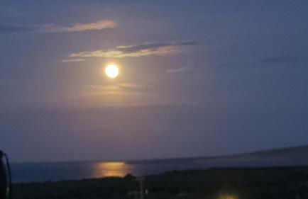 Galini Apartments - Photo 40