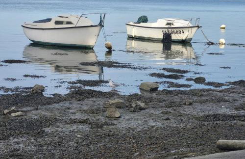 Studio cosy Piscine Rocherfort en Terre Centre - Foto 24