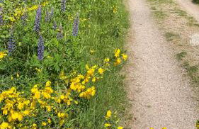 "Glück auf" Lichtdurchflutete schicke Ferienwohnung in Zwickau - Foto 38
