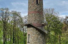 1Step2AllNature Tinyhouse - Foto 72