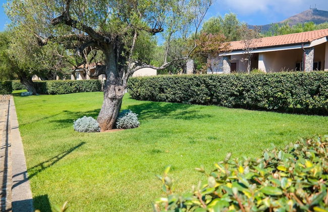 Blue Marine - Photo 39