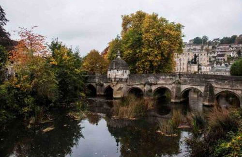 brand new cozy cabin with parking - Foto 26