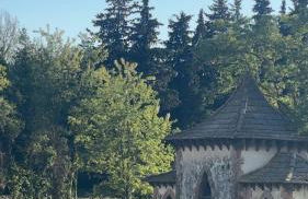 La Bastide des Launes près du Festival de Piano - Foto 7