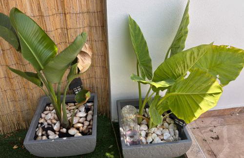 Casa Maria Anas - Foto 14