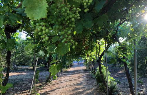 Beautiful Farm House - Foto 26