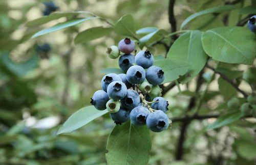 Agriturismo Biomatto - Foto 23