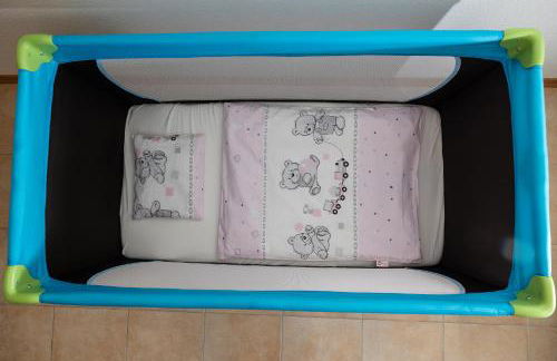 Fe Wo Europa Park - Rulantica-Straßburg - Colmar - Klimaanlage- Wallbox - Foto 68